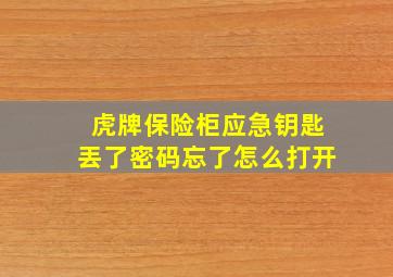 虎牌保险柜应急钥匙丟了密码忘了怎么打开