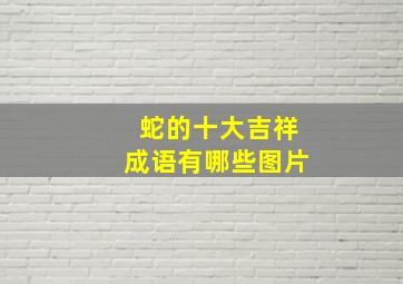 蛇的十大吉祥成语有哪些图片