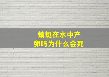 蜻蜓在水中产卵吗为什么会死