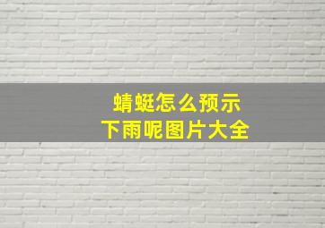 蜻蜓怎么预示下雨呢图片大全