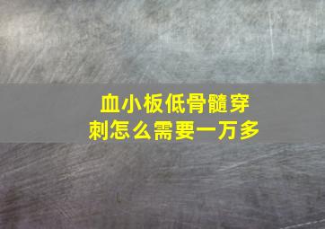 血小板低骨髓穿刺怎么需要一万多