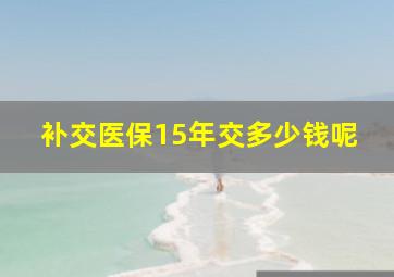 补交医保15年交多少钱呢