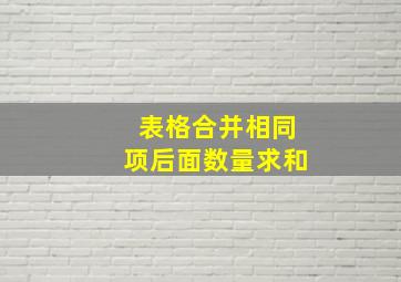 表格合并相同项后面数量求和