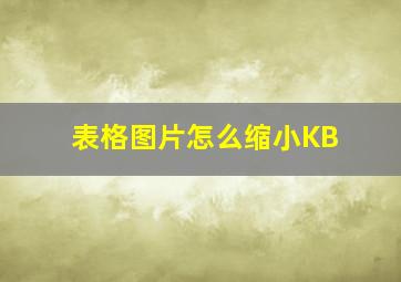 表格图片怎么缩小KB