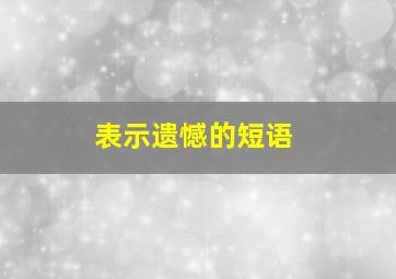 表示遗憾的短语