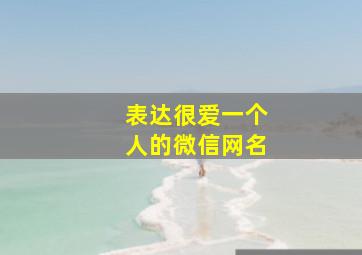 表达很爱一个人的微信网名