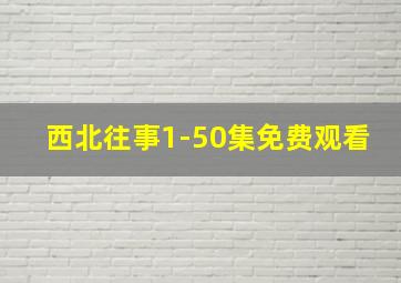 西北往事1-50集免费观看