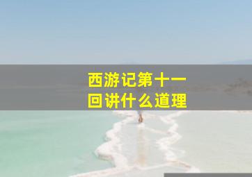 西游记第十一回讲什么道理