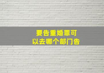 要告重婚罪可以去哪个部门告