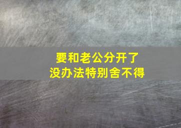 要和老公分开了没办法特别舍不得