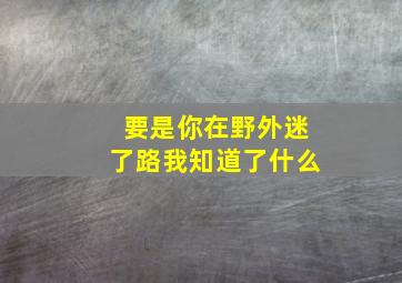 要是你在野外迷了路我知道了什么