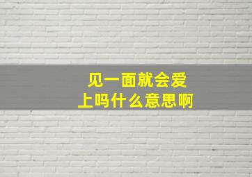 见一面就会爱上吗什么意思啊