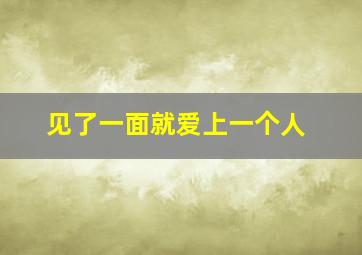 见了一面就爱上一个人