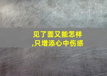 见了面又能怎样,只增添心中伤感