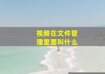 视频在文件管理里面叫什么