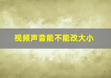 视频声音能不能改大小