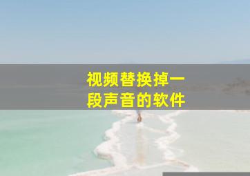 视频替换掉一段声音的软件