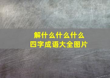 解什么什么什么四字成语大全图片