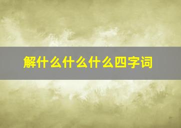 解什么什么什么四字词