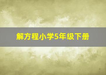 解方程小学5年级下册