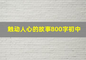 触动人心的故事800字初中