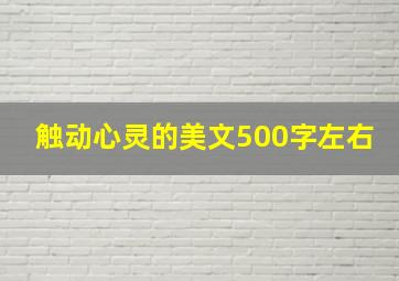 触动心灵的美文500字左右