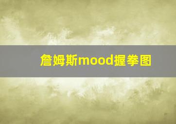 詹姆斯mood握拳图