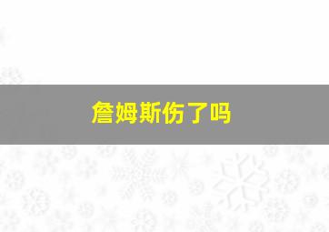 詹姆斯伤了吗