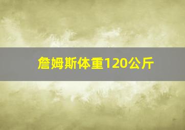 詹姆斯体重120公斤