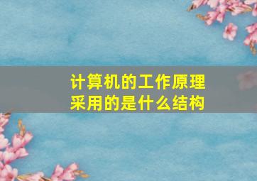 计算机的工作原理采用的是什么结构