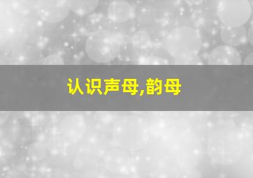 认识声母,韵母