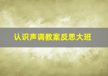 认识声调教案反思大班