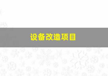 设备改造项目