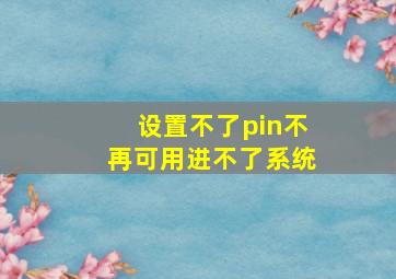 设置不了pin不再可用进不了系统