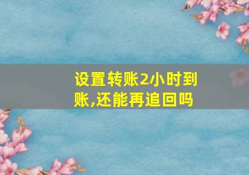 设置转账2小时到账,还能再追回吗