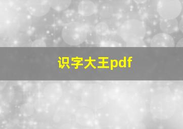 识字大王pdf