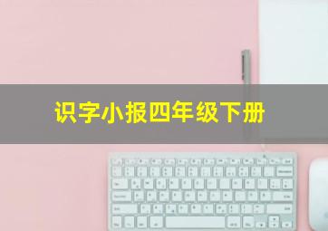 识字小报四年级下册