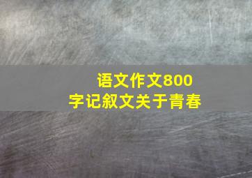 语文作文800字记叙文关于青春