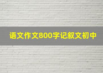 语文作文800字记叙文初中