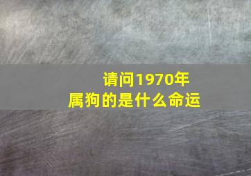 请问1970年属狗的是什么命运