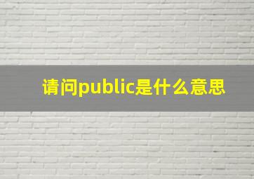 请问public是什么意思