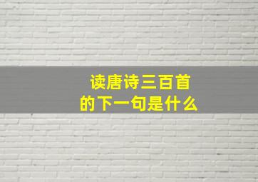 读唐诗三百首的下一句是什么