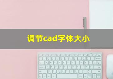 调节cad字体大小