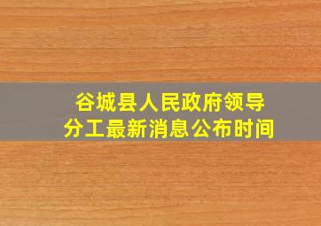 谷城县人民政府领导分工最新消息公布时间