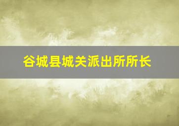 谷城县城关派出所所长