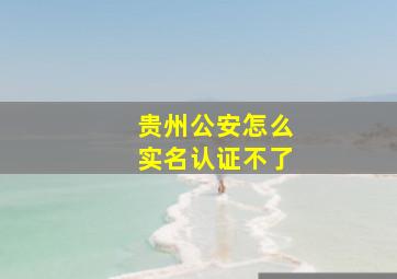 贵州公安怎么实名认证不了