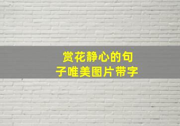 赏花静心的句子唯美图片带字