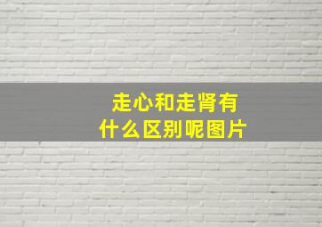 走心和走肾有什么区别呢图片