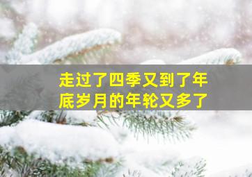 走过了四季又到了年底岁月的年轮又多了