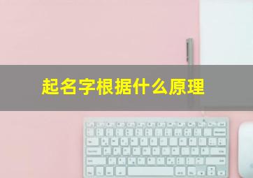 起名字根据什么原理